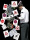 AWT IMAGE